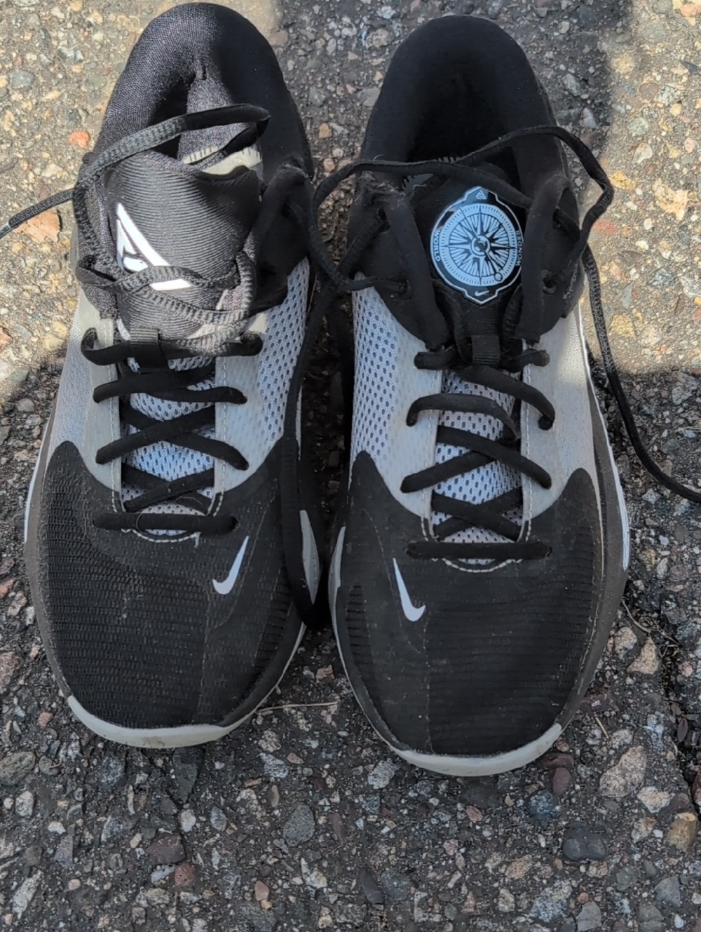 Nike Zoom Freak 4 basketball shoes